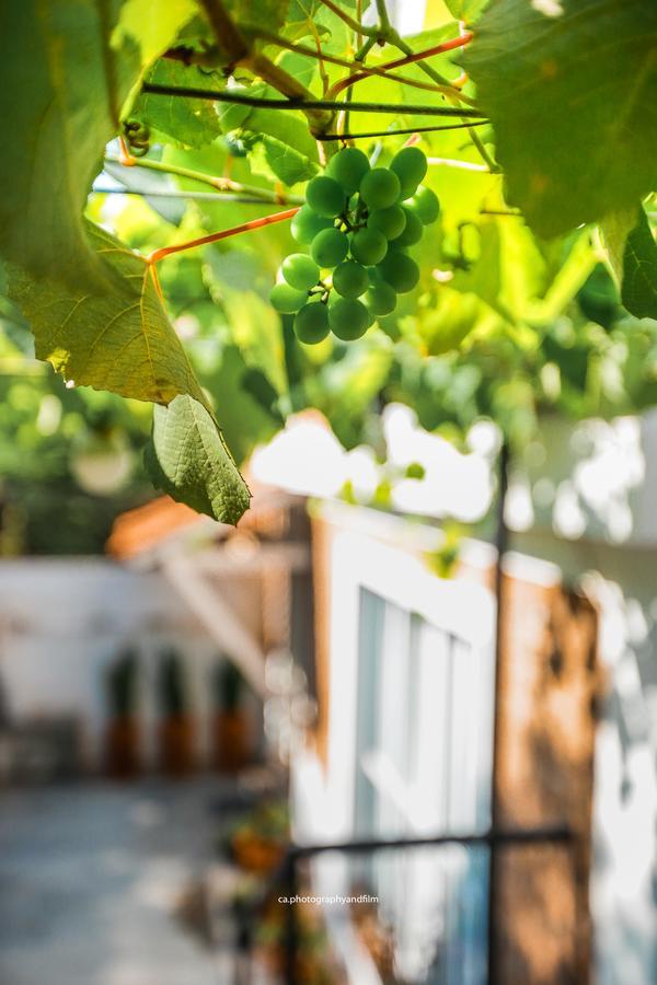 Hostel Grape Wine São Paulo Kültér fotó